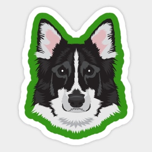 Border Collie Sticker